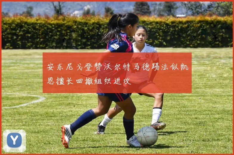 安东尼戈登赞沃尔特马德踢法似凯恩擅长回撤组织进攻