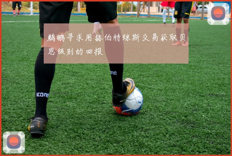 鹈鹕寻求用赫伯特琼斯交易获取贝恩级别的回报