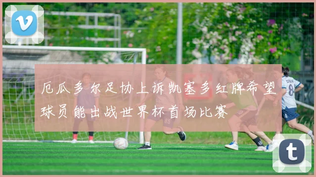 厄瓜多尔足协上诉凯塞多红牌希望球员能出战世界杯首场比赛