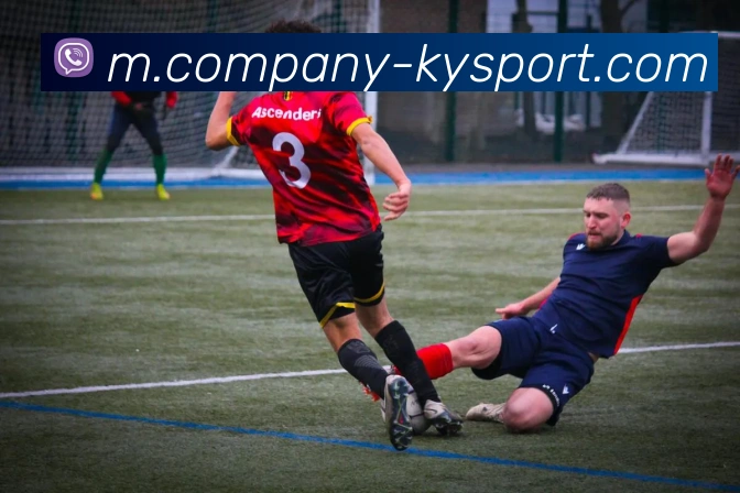 开云体育APP 高清赛事图